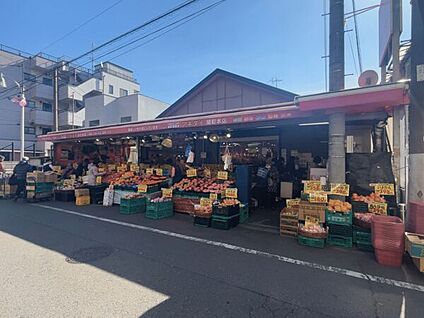 生鮮市場アキダイ関町本店 567m