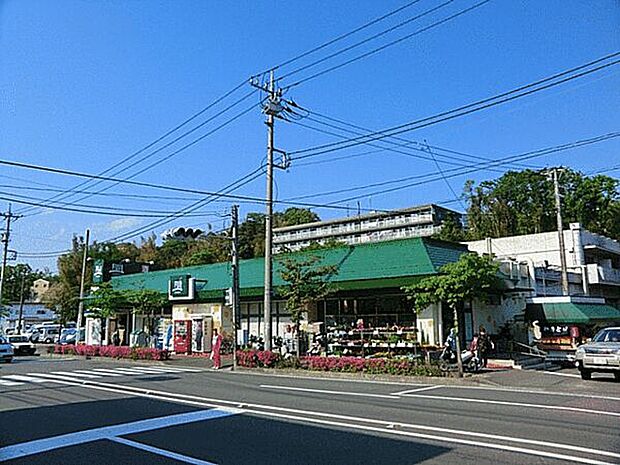 ＦＵＪＩ上中里店（約787m）