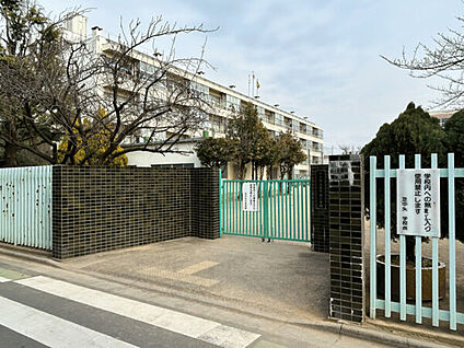 川口市立芝中央小学校 492m