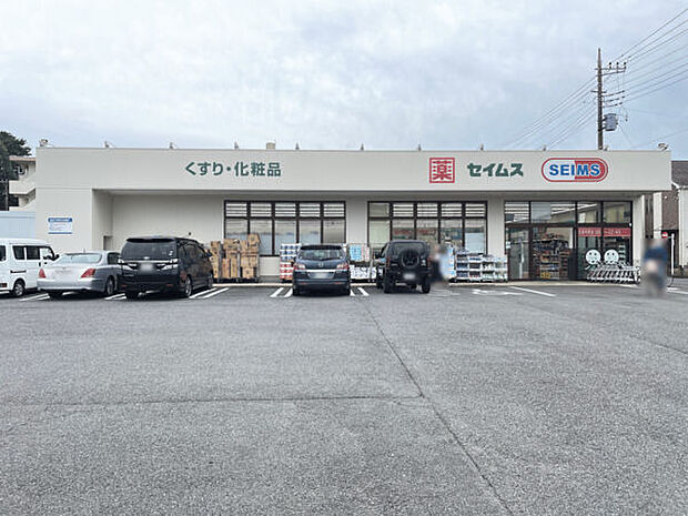 ドラッグセイムス 下保谷店（約366m）