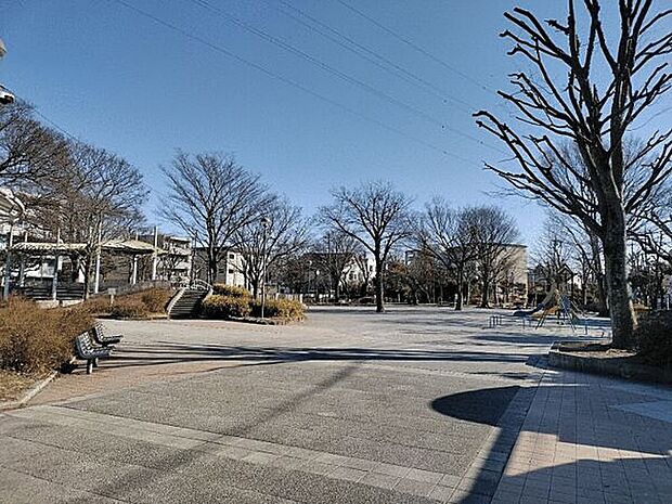 金町公園（約156m）