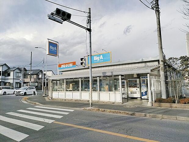 ビッグ・エー 松戸八ケ崎店（約889m）