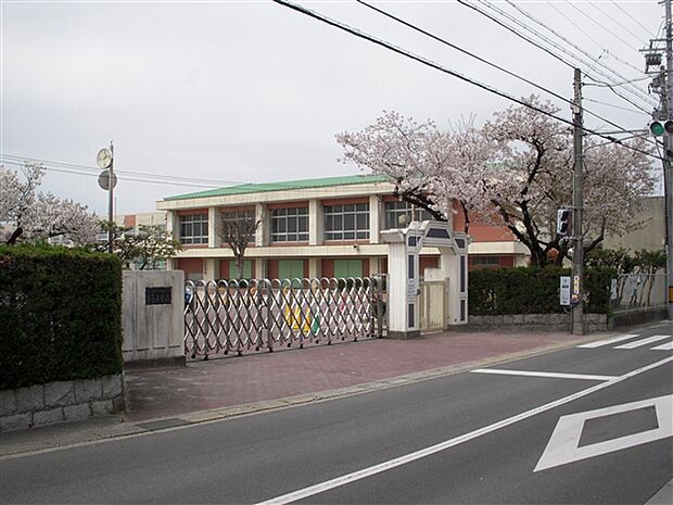 名古屋市立平子小学校（約628m）