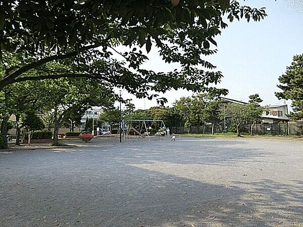 藤沢市立鵠南小学校（約1,075m）