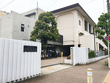 板橋区立赤塚体育館 187m