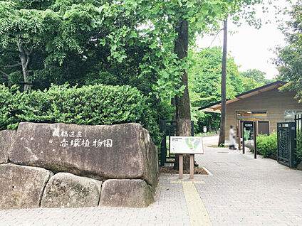 板橋区立赤塚植物園 498m
