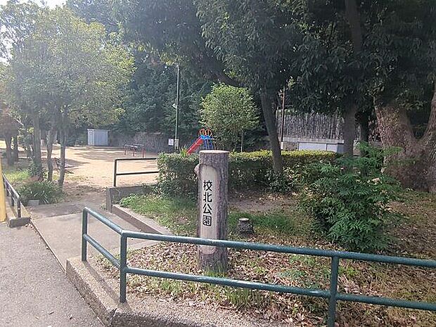 校北公園（約818m）