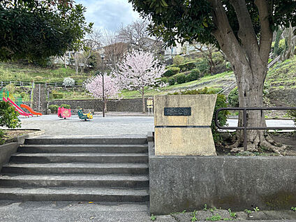 荒立公園 1253m