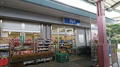 Big-A柏光が丘団地店 1027m
