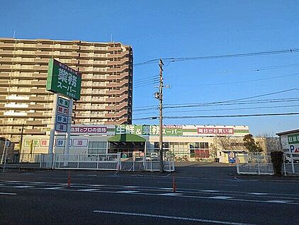 業務スーパー ガリバー香里園店 1764m