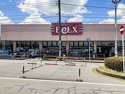 ベルクス柏つくしが丘店 294m