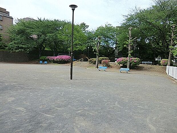 向ヶ丘公園（約1,029m）