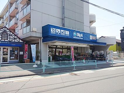 ビッグ・エー朝霞宮戸店 492m