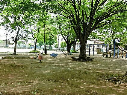 見沼公園 650m