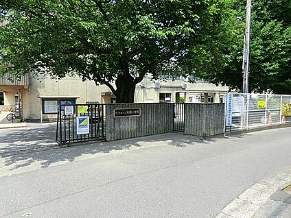 さいたま市立岩槻小学校 520m
