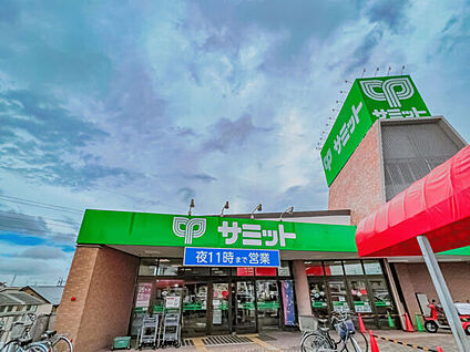 サミット太田窪店 1181m