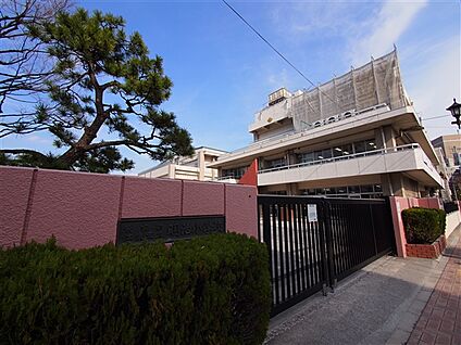 江東区立明治小学校 922m