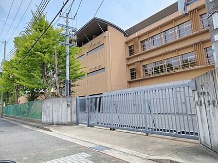尼崎市立杭瀬小学校 736m