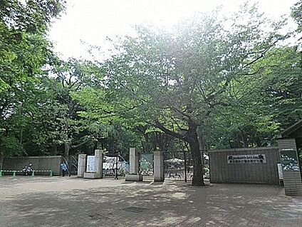 武蔵野市立井之頭小学校 977m