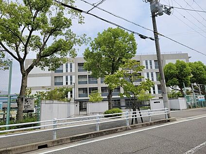 長洲東通緑地 682m