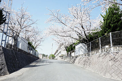 春日市立春日南小学校 1505m