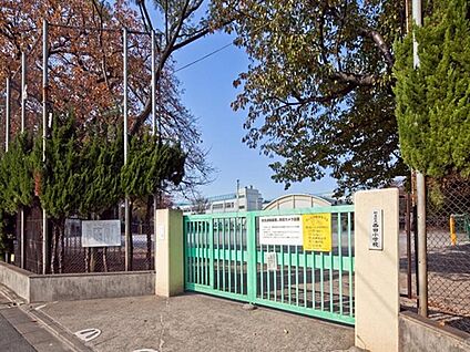 杉並区立西田小学校 431m