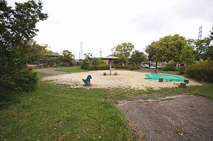 梨の木公園 1176m
