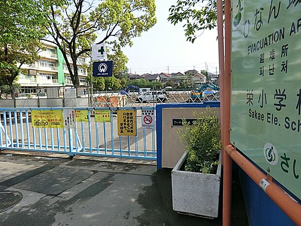 さいたま市立栄小学校(約527m)