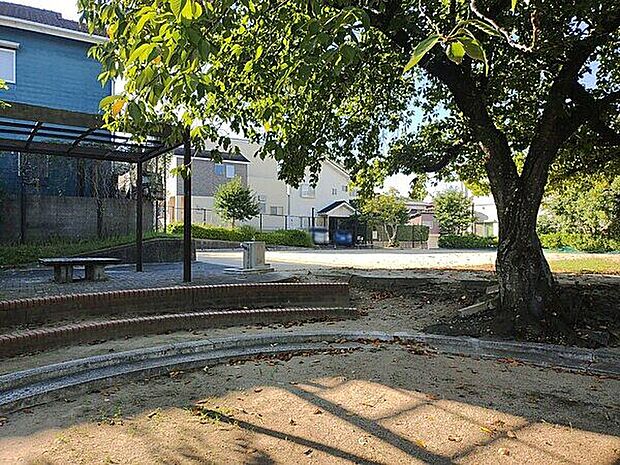 柳瀬東公園（約685m）