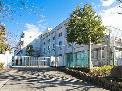 横浜市立平戸中学校 1011m