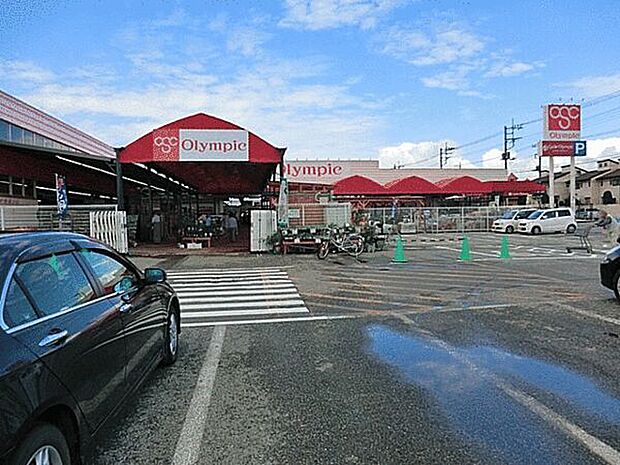 オリンピック柏花野井店(約725m)