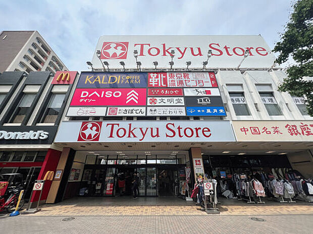 東急ストア金町店(約667m)