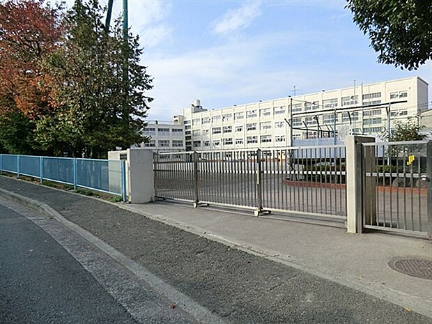 横浜市立すみれが丘小学校（約257m）