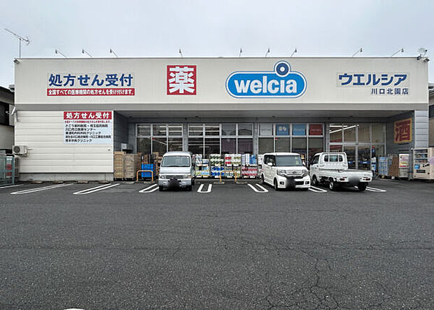 ウエルシア川口北園店（約910m）