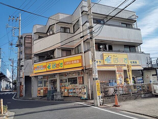 どらっぐ ぱぱす 新柴又店(約833m)