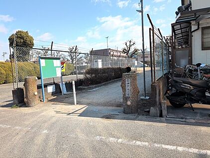 金田中央公園 323m
