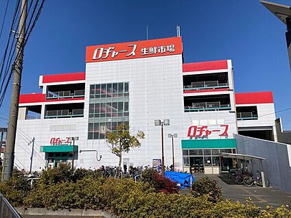ロヂャース 越谷店 525m