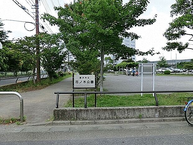 花ノ木公園(約661m)