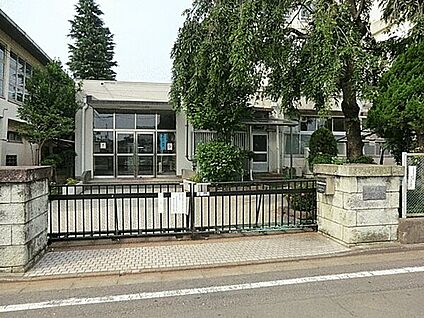 練馬区立泉新小学校 545m