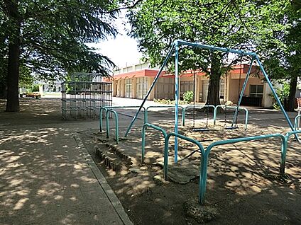 埼玉大学教育学部附属幼稚園 1272m