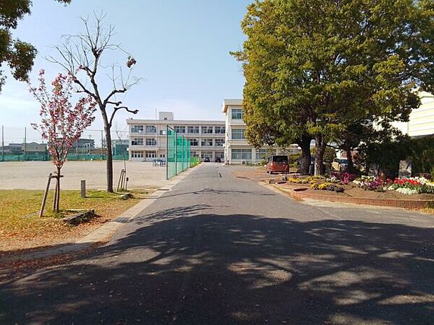 春日井市立勝川小学校（約546m）