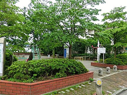 こぶし公園 1203m