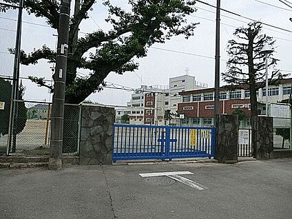 小金井市立緑中学校 929m