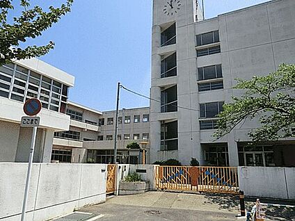 鎌倉市立大船小学校 1991m