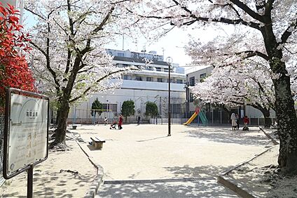 高取公園 734m