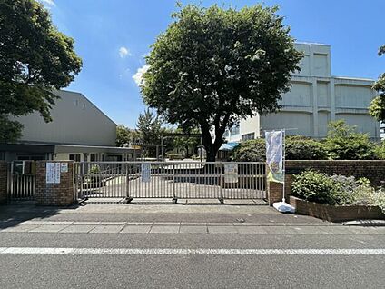 横浜市立二つ橋小学校 736m