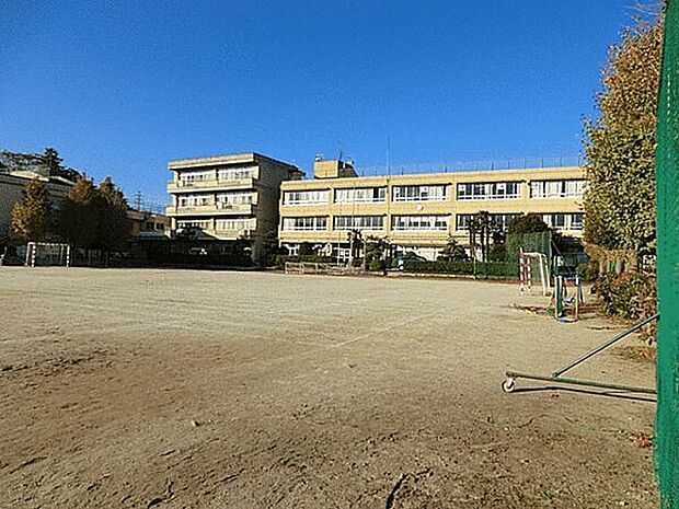 柏市立南部中学校（約700m）
