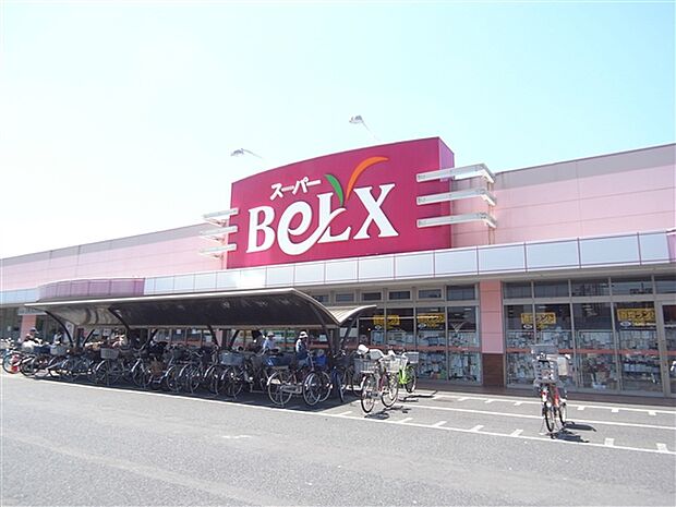 ベルクス墨田店（約654m）