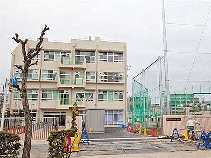 板橋区立志村第二中学校 571m