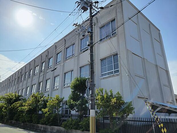 尼崎市立大庄小学校（約278m）